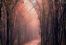 球派体育的NBA直播体验到底怎么样？