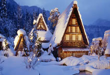 美金杯比分怎么看？最新赛况与解读全在这里